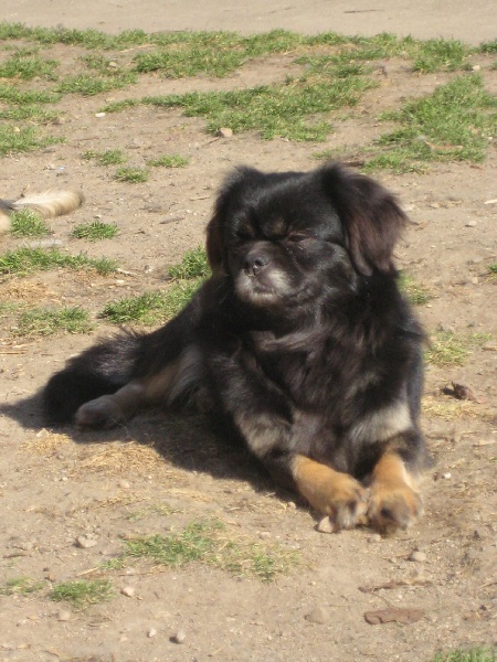 Douce melodie du bois des filaos